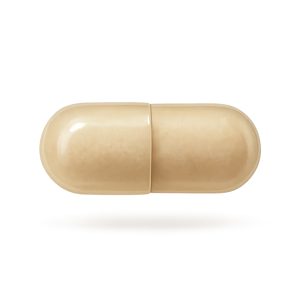 MDC - Capsule - Beige light - S.webp