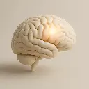 Cognitive Health .webp