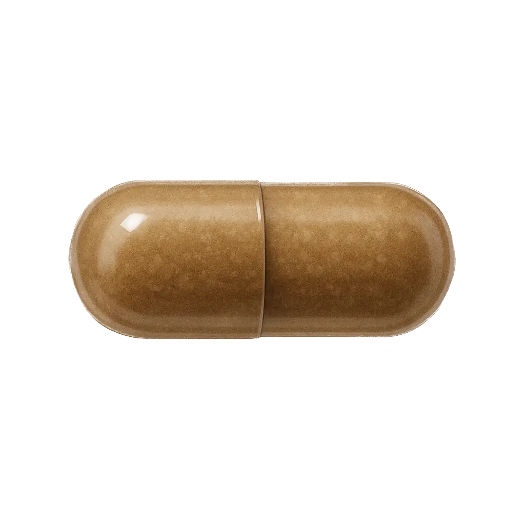 Papain 500 mg