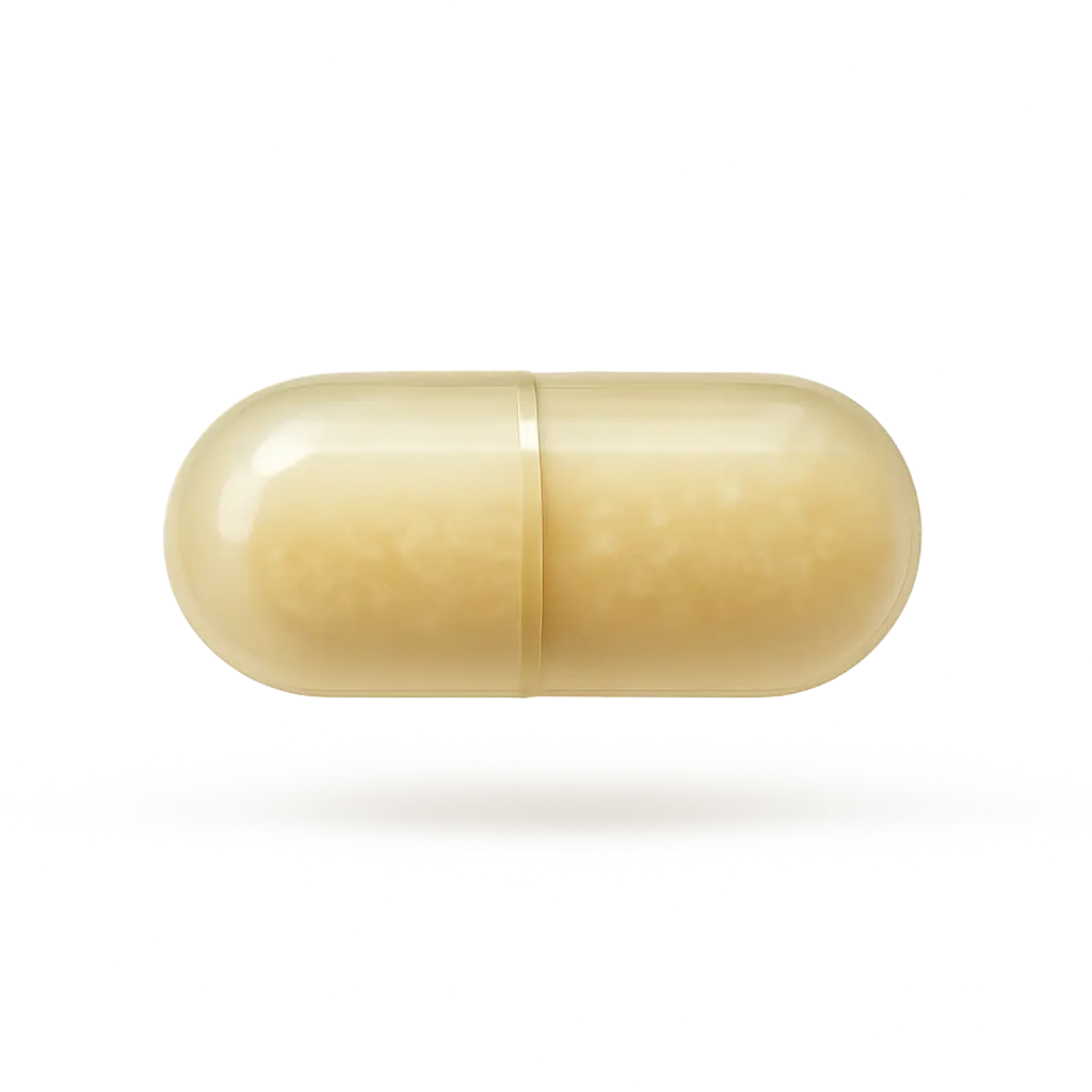 Multivitamin Daily