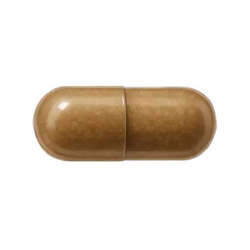 [SKU087] Papain 500 mg