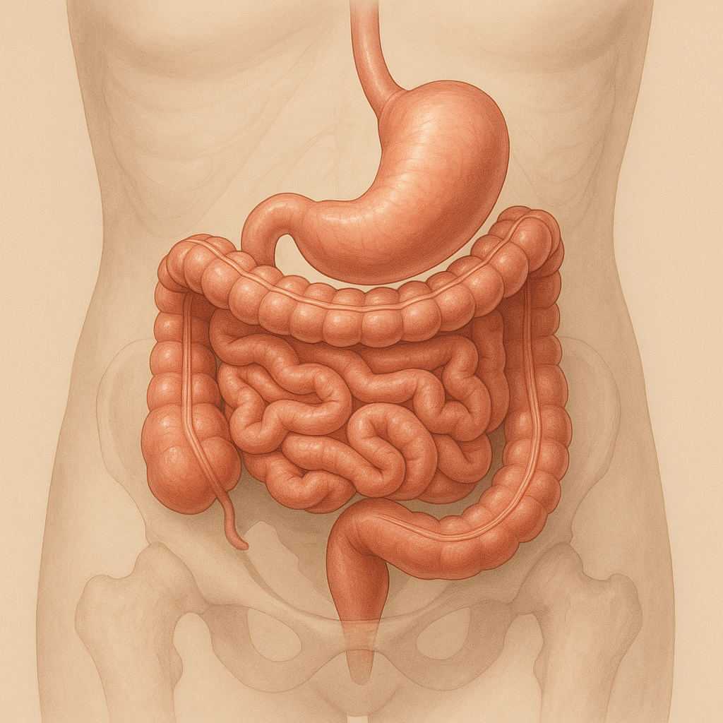 Immagine del vantaggio principale