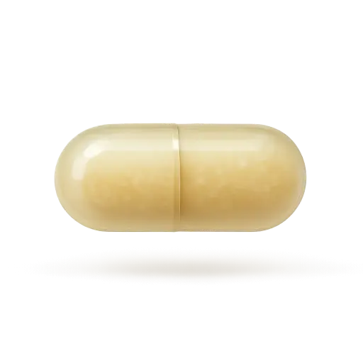 [SKU152] Multivitamin Daily