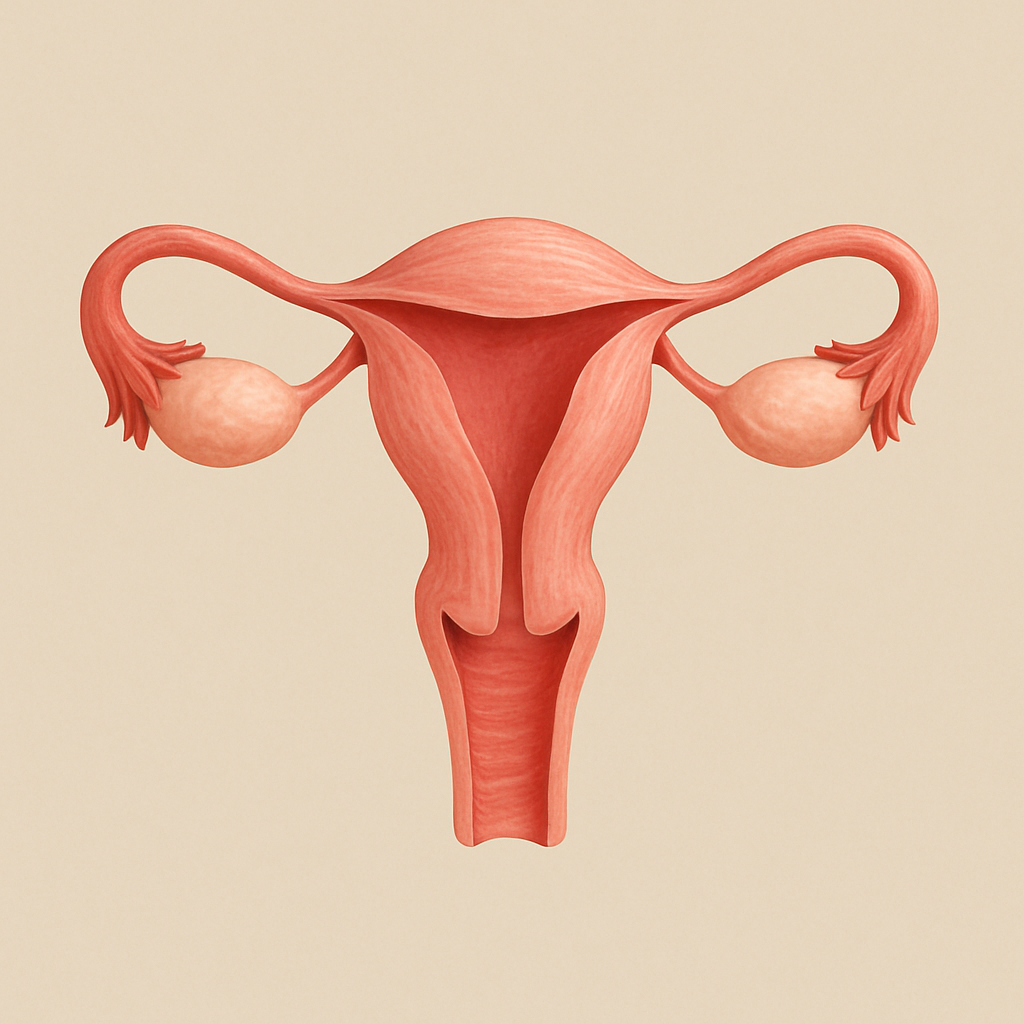 Imagem principal do benefício